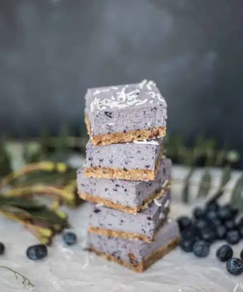 Blueberry RAW & Vegan Slices