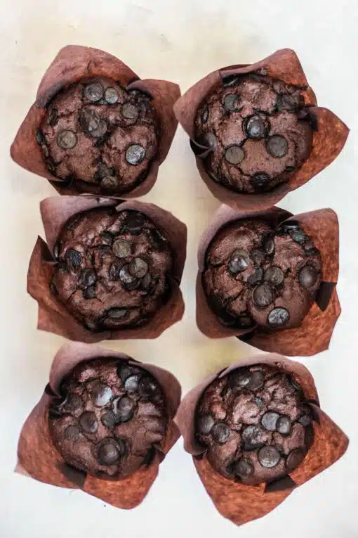 Chocolate chip vegan muffins