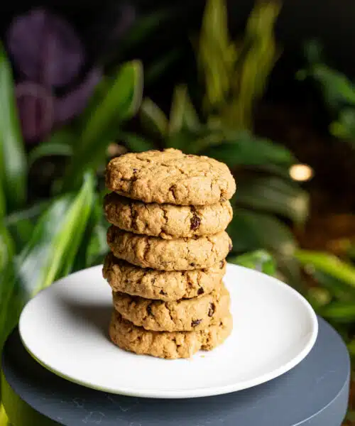 Vegan Muesli Cookie