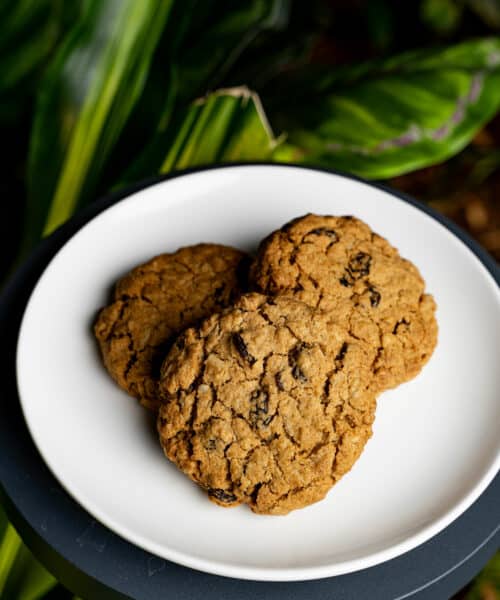 Vegan Muesli Cookie