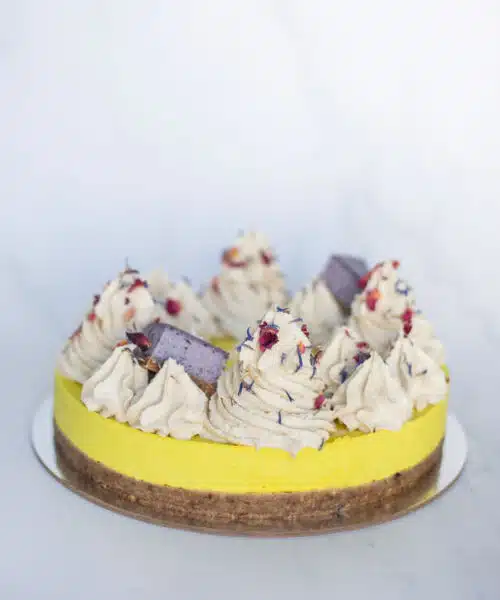 Vegan & Gluten Free Lemon & Coconut Cake